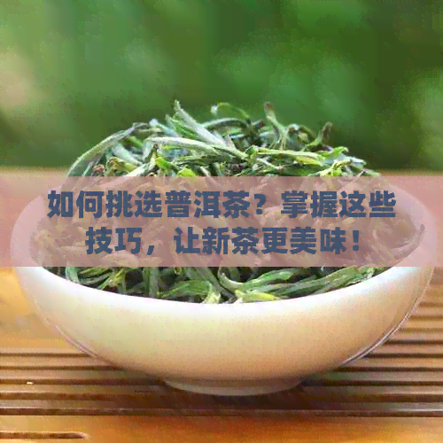 如何挑选普洱茶？掌握这些技巧，让新茶更美味！