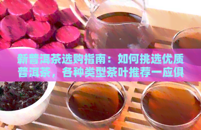 新普洱茶选购指南：如何挑选优质普洱茶，各种类型茶叶推荐一应俱全