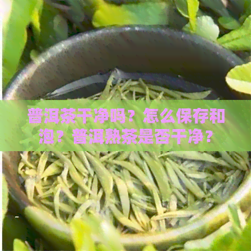 普洱茶干净吗？怎么保存和泡？普洱熟茶是否干净？