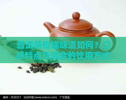 普洱茶柑橘味道如何？口感特点及适合的饮用方式解析