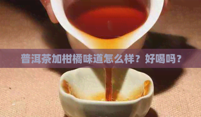 普洱茶加柑橘味道怎么样？好喝吗？