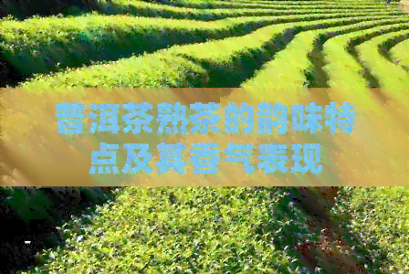 普洱茶熟茶的韵味特点及其香气表现