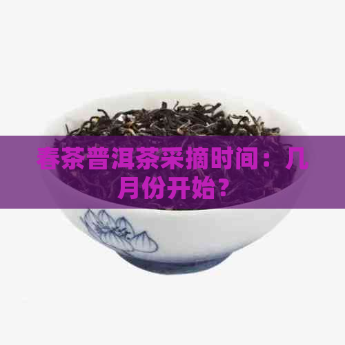 春茶普洱茶采摘时间：几月份开始？