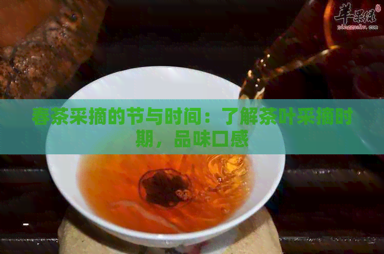 春茶采摘的节与时间：了解茶叶采摘时期，品味口感