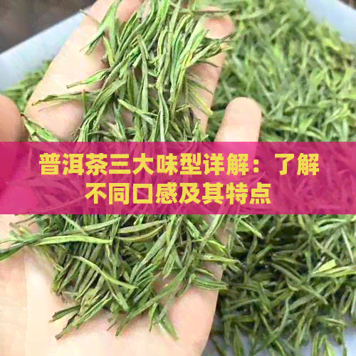 普洱茶三大味型详解：了解不同口感及其特点