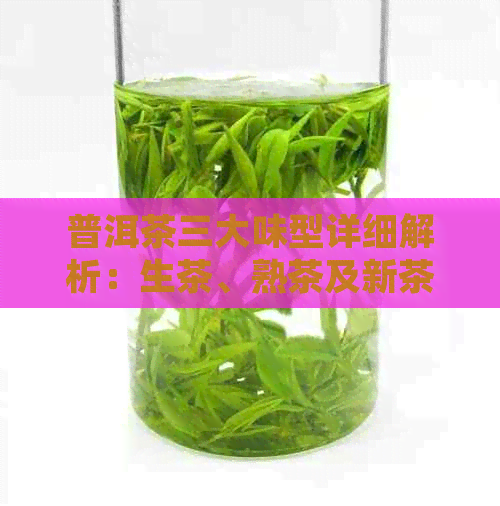 普洱茶三大味型详细解析：生茶、熟茶及新茶的独特风味