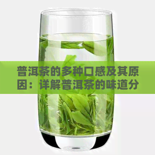 普洱茶的多种口感及其原因：详解普洱茶的味道分类及其成因