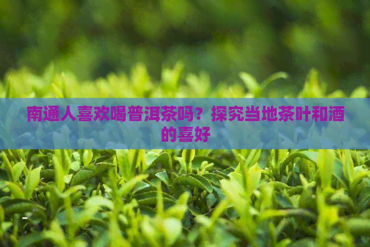 南通人喜欢喝普洱茶吗？探究当地茶叶和酒的喜好