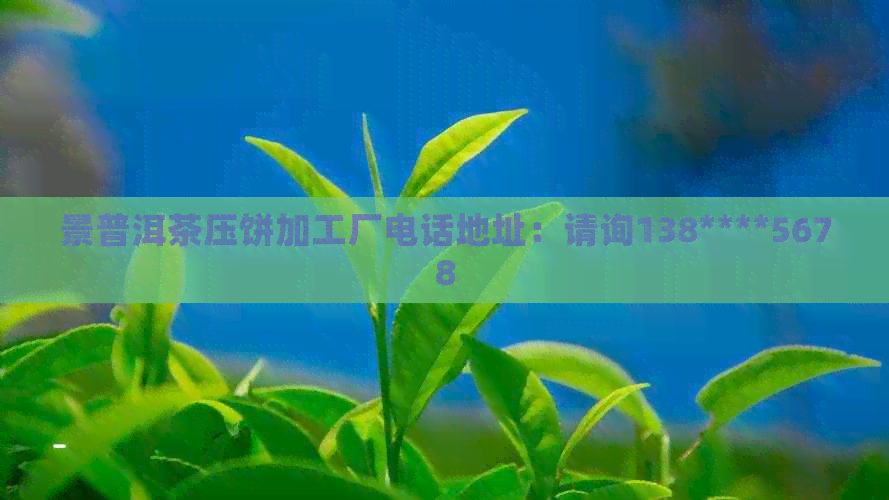 景普洱茶压饼加工厂电话地址：请询138****5678