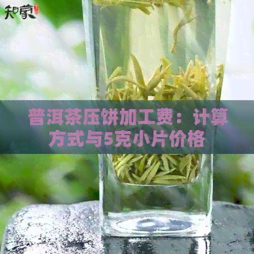 普洱茶压饼加工费：计算方式与5克小片价格