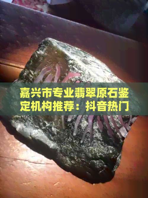 嘉兴市专业翡翠原石鉴定机构推荐：抖音热门珠宝鉴别指南