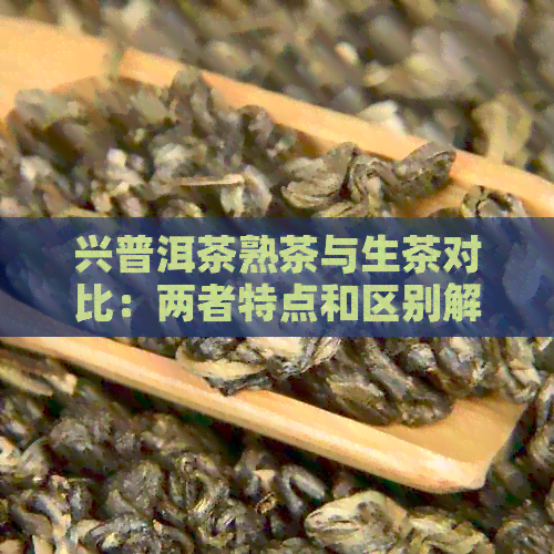 兴普洱茶熟茶与生茶对比：两者特点和区别解析