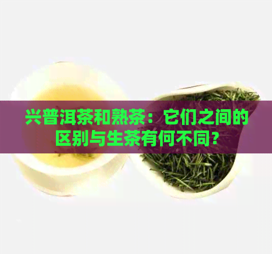 兴普洱茶和熟茶：它们之间的区别与生茶有何不同？