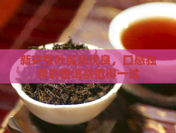 新兴茶叶品质优良，口感独特的普洱茶值得一试