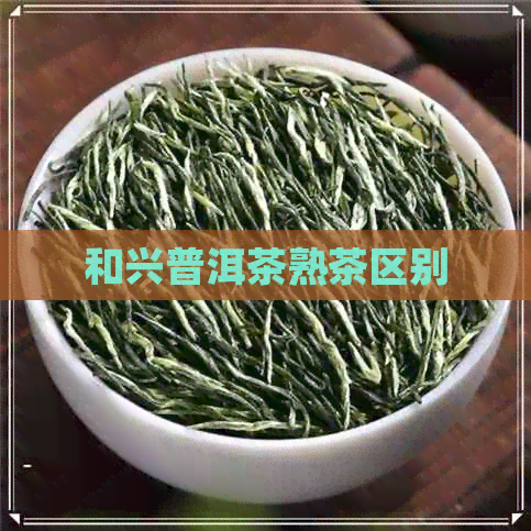 和兴普洱茶熟茶区别