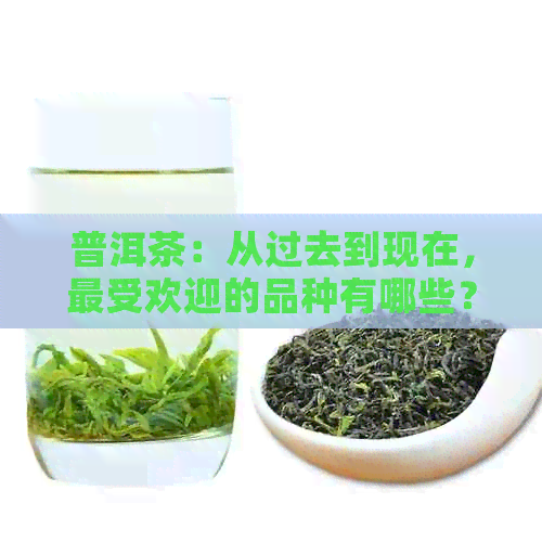 普洱茶：从过去到现在，更受欢迎的品种有哪些？如何鉴别和品鉴？