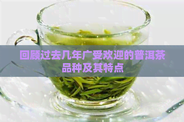 回顾过去几年广受欢迎的普洱茶品种及其特点