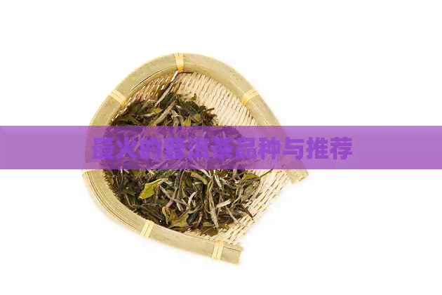 最火的普洱茶品种与推荐