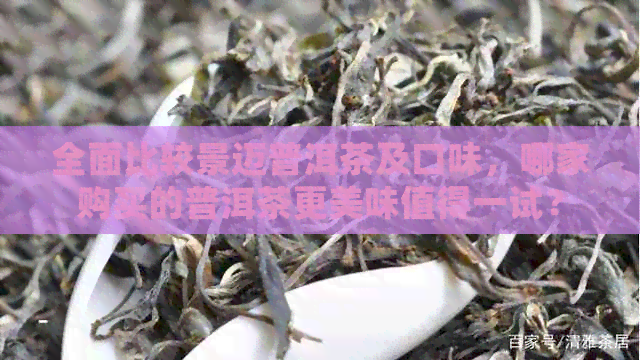 全面比较景迈普洱茶及口味，哪家购买的普洱茶更美味值得一试？