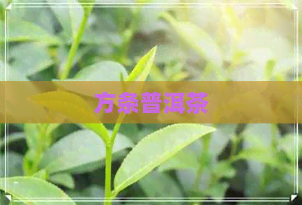 方条普洱茶