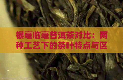 银毫临毫普洱茶对比：两种工艺下的茶叶特点与区别详解