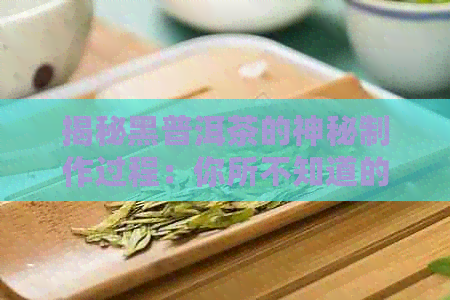 揭秘黑普洱茶的神秘制作过程：你所不知道的原料选择与工艺技巧