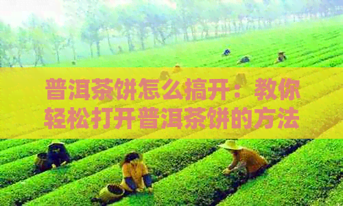 普洱茶饼怎么搞开：教你轻松打开普洱茶饼的方法