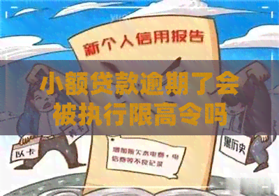 小额贷款逾期了会被执行限高令吗