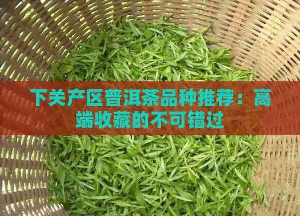 下关产区普洱茶品种推荐：高端收藏的不可错过