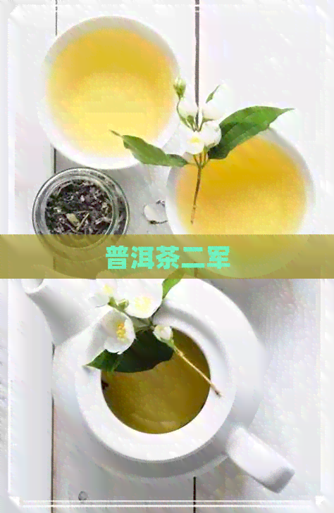 普洱茶二军