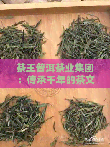 茶王普洱茶业集团：传承千年的茶文化与创新之路