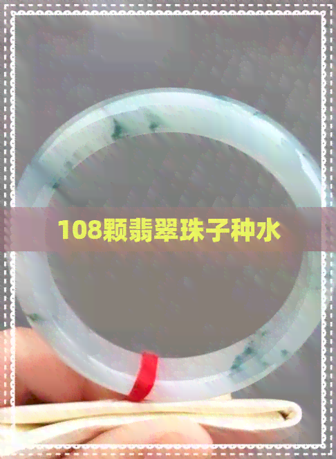 108颗翡翠珠子种水