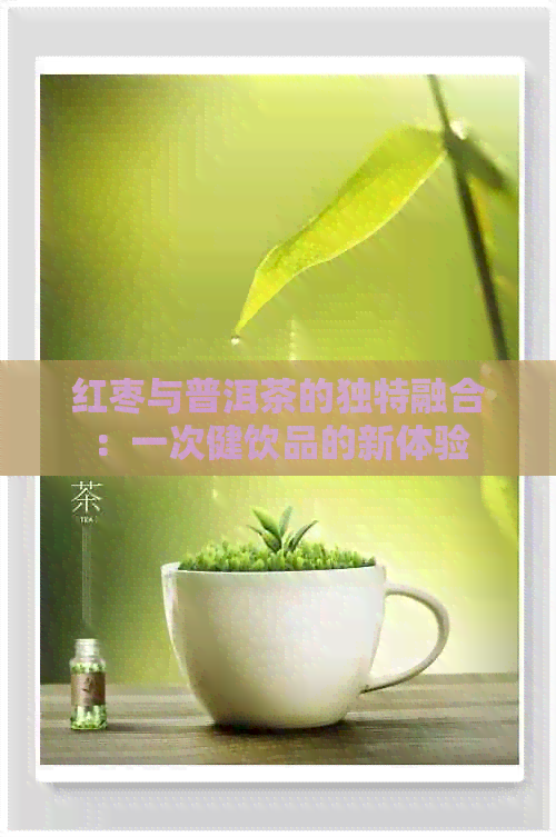 红枣与普洱茶的独特融合：一次健饮品的新体验