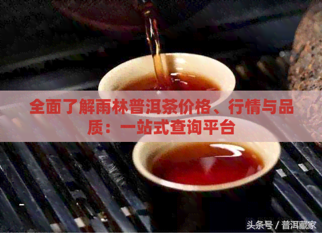 全面了解雨林普洱茶价格、行情与品质：一站式查询平台