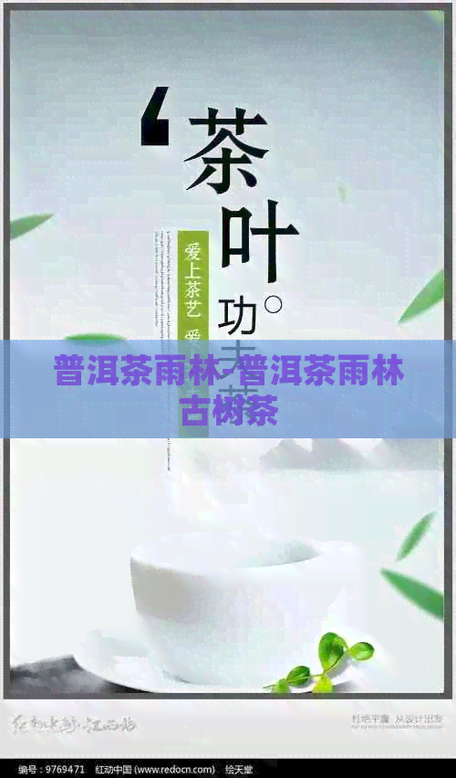 普洱茶雨林-普洱茶雨林古树茶