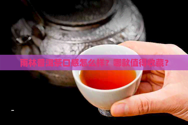 雨林普洱茶口感怎么样？哪款值得收藏？