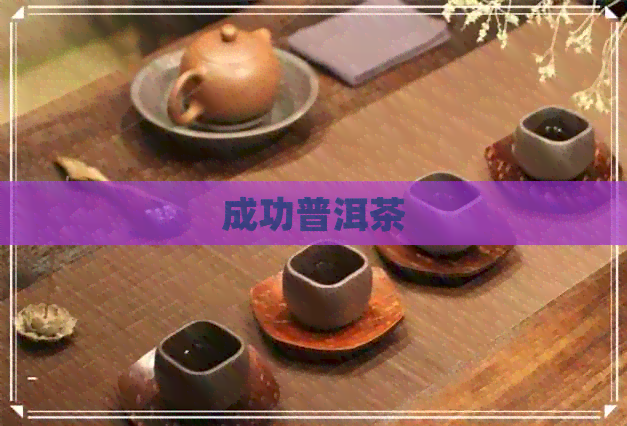 成功普洱茶