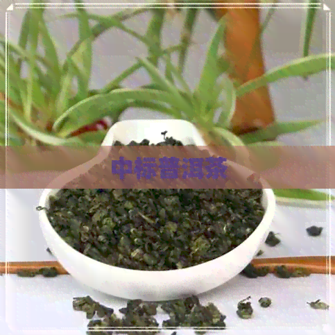 中标普洱茶