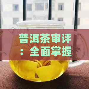 普洱茶审评：全面掌握标准与技巧，解决用户搜索的各类疑问