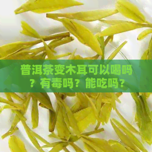 普洱茶变木耳可以喝吗？有吗？能吃吗？