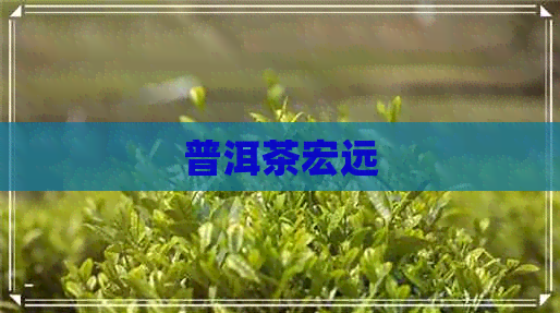 普洱茶宏远