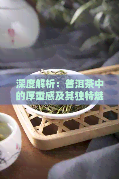 深度解析：普洱茶中的厚重感及其独特魅力探究