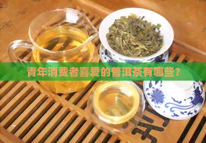 青年消费者喜爱的普洱茶有哪些？