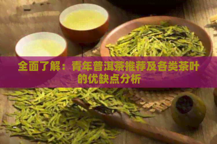 全面了解：青年普洱茶推荐及各类茶叶的优缺点分析