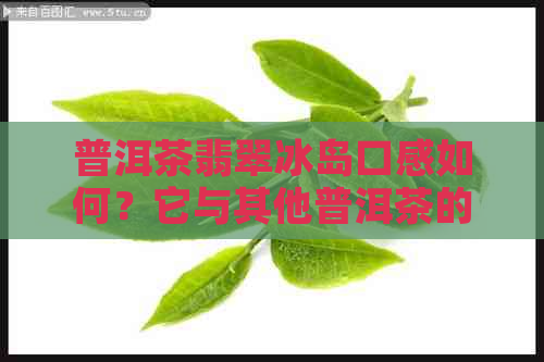 普洱茶翡翠冰岛口感如何？它与其他普洱茶的区别在哪？