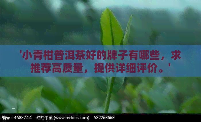 '小青柑普洱茶好的牌子有哪些，求推荐高质量，提供详细评价。'