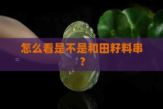 怎么看是不是和田籽料串？