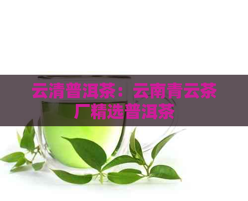 云清普洱茶：云南青云茶厂精选普洱茶