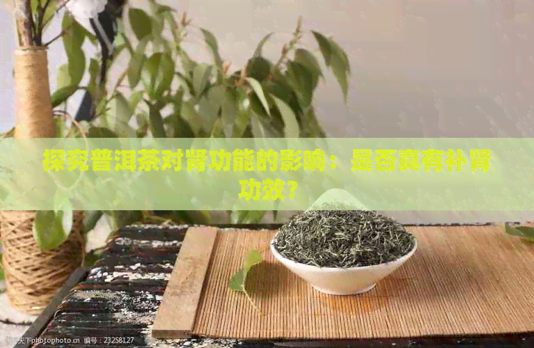 探究普洱茶对肾功能的影响：是否真有补肾功效？