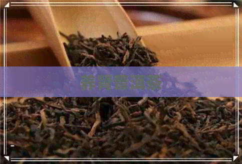 养肾普洱茶